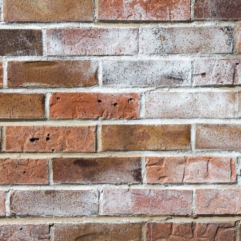 efflorescence on a brick wall