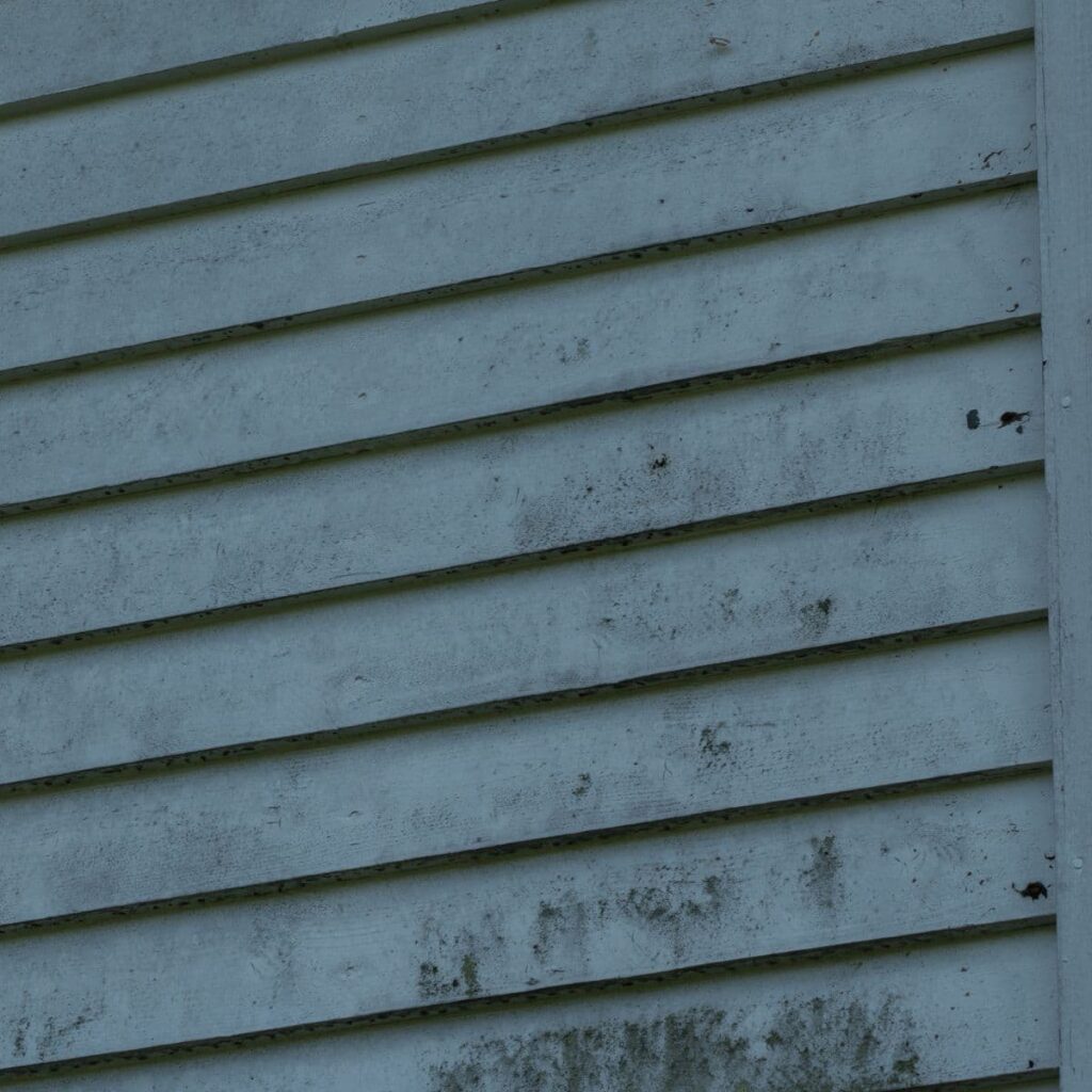 mold on siding