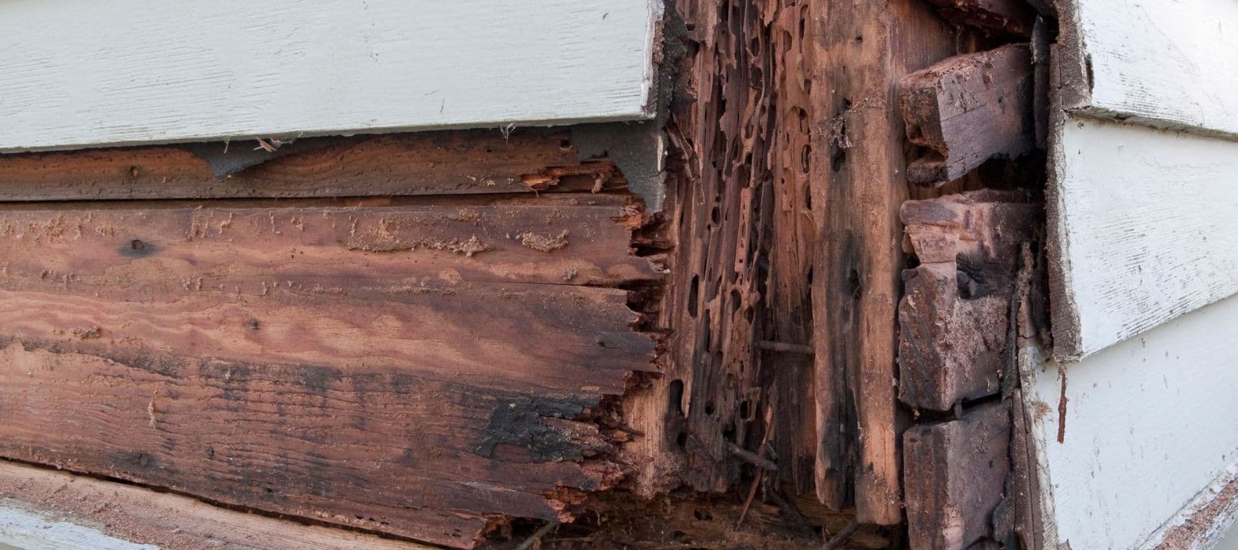 rotted wood siding